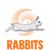 Rabbit Rabbit Rabbit