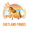 Shetland Pony Cadeau Shetty