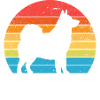 Alaskan Malamute Dog