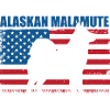 Chien Malamute d’Alaska