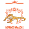 Bearded Dragon Pogona Gift