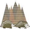 Hedgehogs