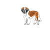 St. Bernard Gift Dogs