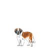 St. Bernard Chiens Cadeaux