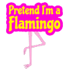 Pretend I'm a Flamingo Costume