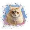 Siberian cat, graffiti, painting, cat