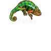 That Chameleon Guy Panther Chameleon