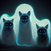 Three mysterious cats