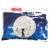 Community unicycle Moon