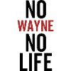 No Wayne No Life
