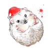 Weihnachtsigel - Igel mit Weihnachtsmütze