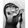 Loutre fumeuse