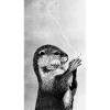 Smoking otter