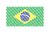 Brazil Flag