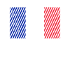 French flag