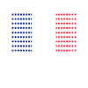 French flag
