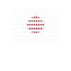 Japan Flag