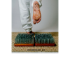 Fakir foot