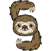 Jungle dweller Sloth Vegetarian Mammals