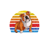 American Bulldog