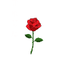 True Love