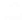 Eventplaner Hochzeitsplaner Event Manager