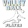 VOLLEYBALL PLAYER
