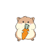Hamster Gift Hamster Lovers
