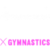 Acrobat Gymnastics Gymnastics Tumbling