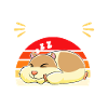 Hamster Gift Hamster Lovers