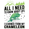 Caméléon Cadeau Caméléon