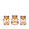 Hamster Gift Hamster Lovers