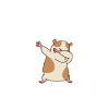 Hamster Gift Hamster Lovers