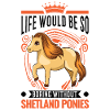 Shetland Pony Gift Shetty