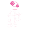 Hysterectomy Female Symbol