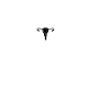 Hysterectomy Funny