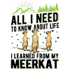 Erdmännchen Meerkat