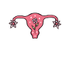 Hysterectomy Funny uterus Hysterectomy
