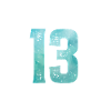 Official 13 Teens