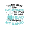 I play my banjo-musician-guitar-bluegrass
