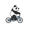 Eucalyptus, panda, ours, ours