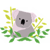 Koala rose