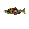 Salmon Salmon Salmondine fishing