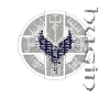Vegvisir Raven Rune Compass