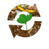 Compost Worms Gift