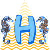 Hippocampe e 262 h