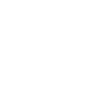 Lauchboy