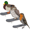 Robin Duck Owl Skateboard Bird