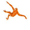 Polygon Gibbon Affe