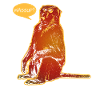 Funny baboon